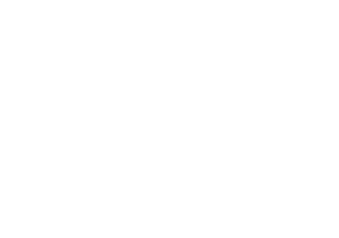 Trino Agency